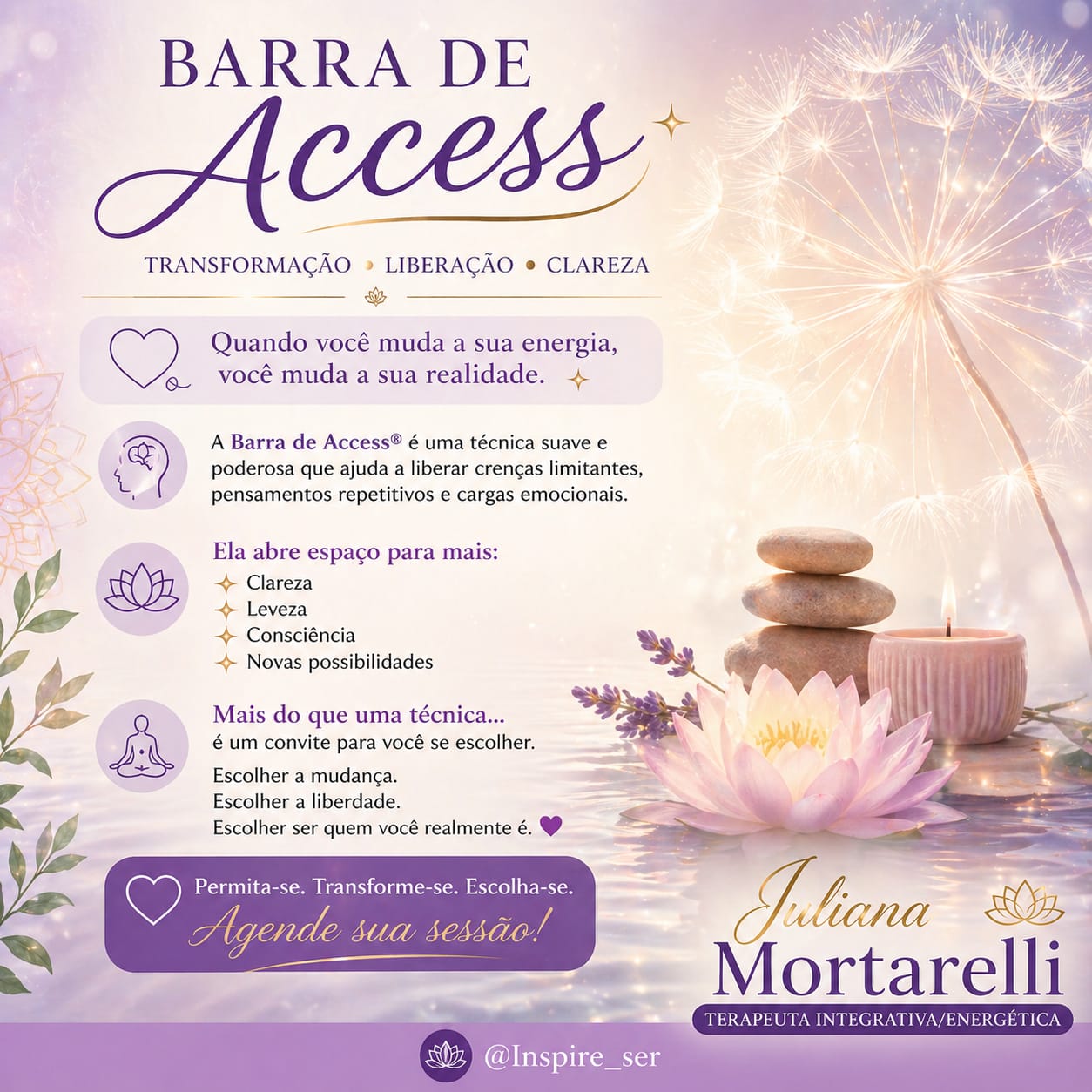 Barras de Access